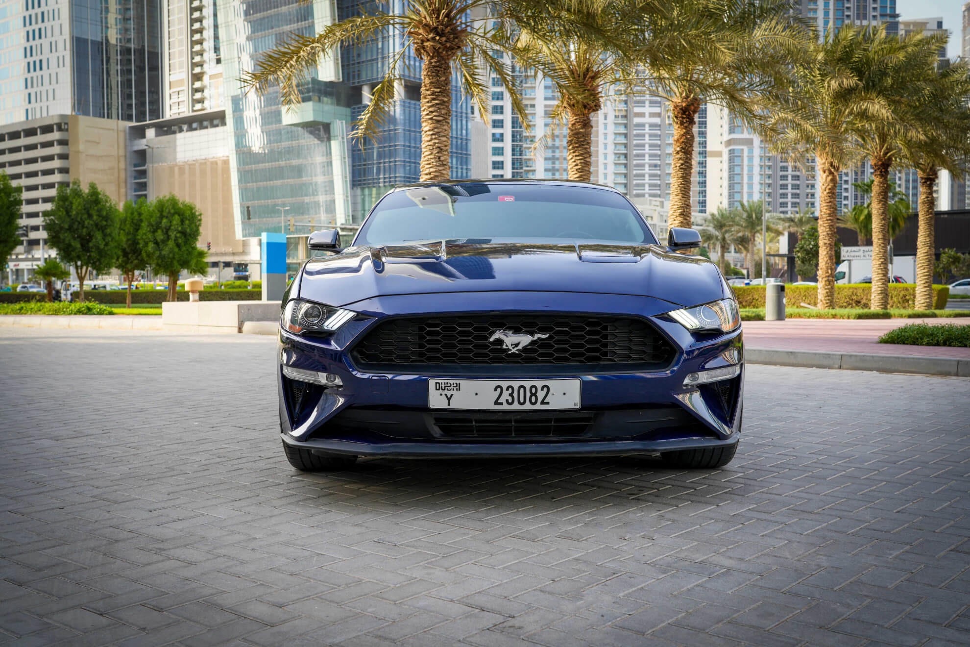 https://www.quickdrive.ae/uploads/2022/09/03/Ford_Mustang-Ecoboost (1).jpg